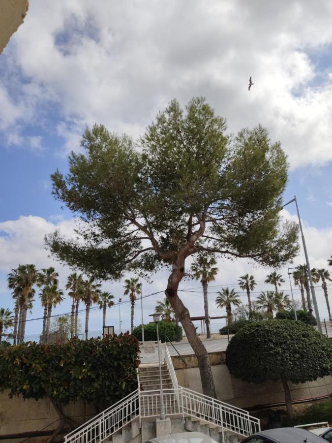Apartamento Mare Nostrum Playa Arrabassada Tarragona Exterior foto